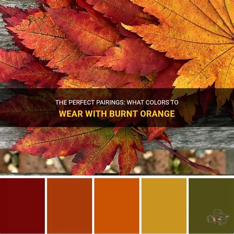 colors that compliment burnt orange.